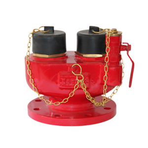 Dry Riser Inlets, Dry Riser Fittings, 2 Way Dry Riser Fittings, 3 Dry Riser Inlets, Fire Brigade Inlet, Best Fire Brigade Inlet in India.