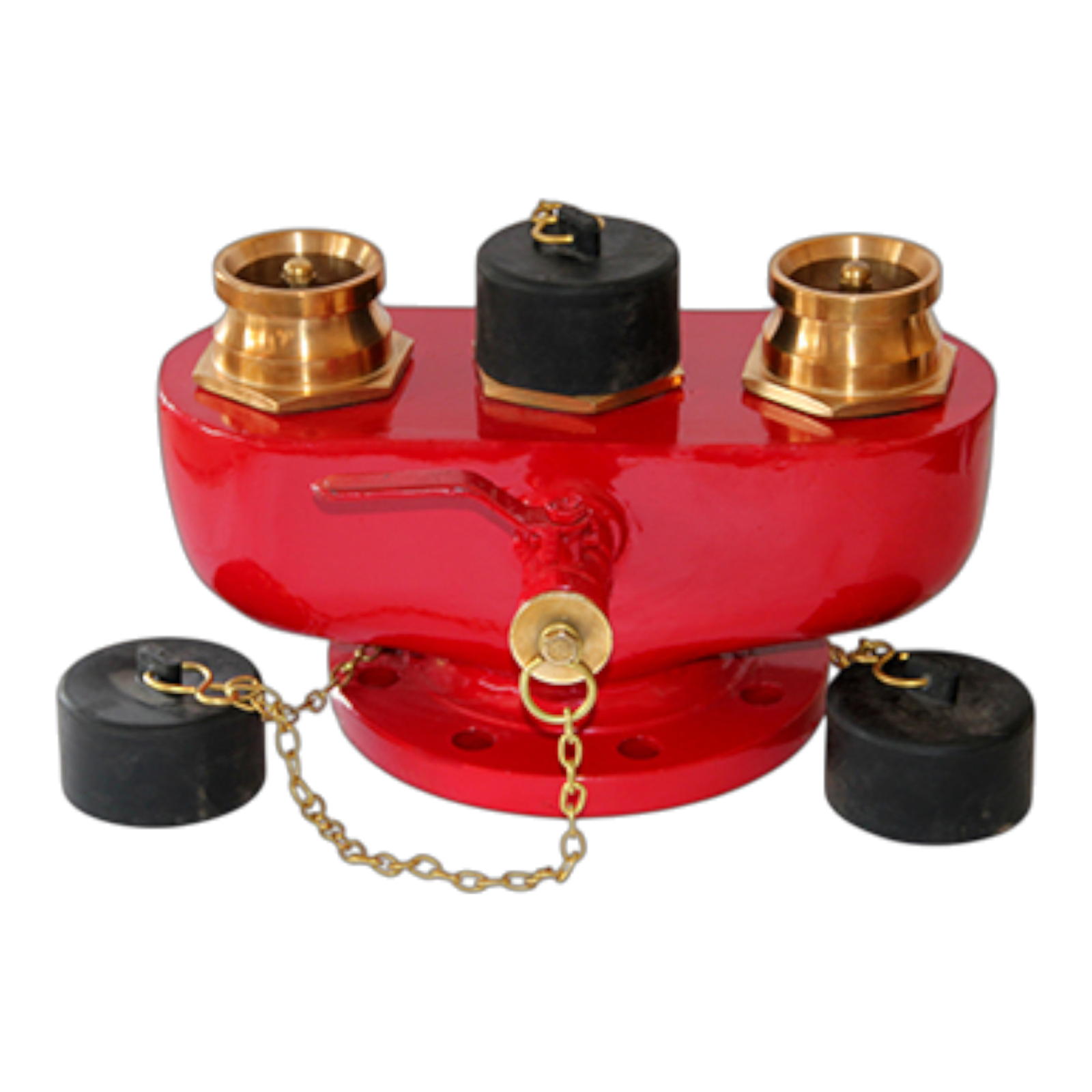 Fire Brigade Inlet / Dry Riser Fitting